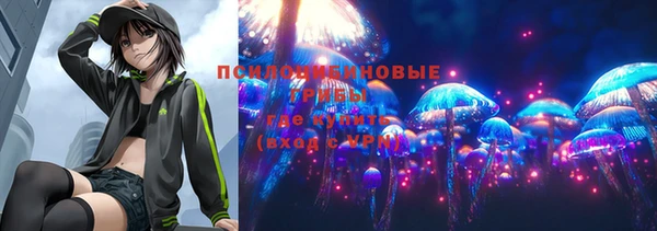 стафф Майский