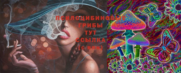 метадон Липки