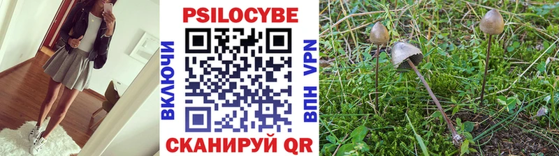 Галлюциногенные грибы ЛСД  маркетплейс как зайти  Новоалександровск 