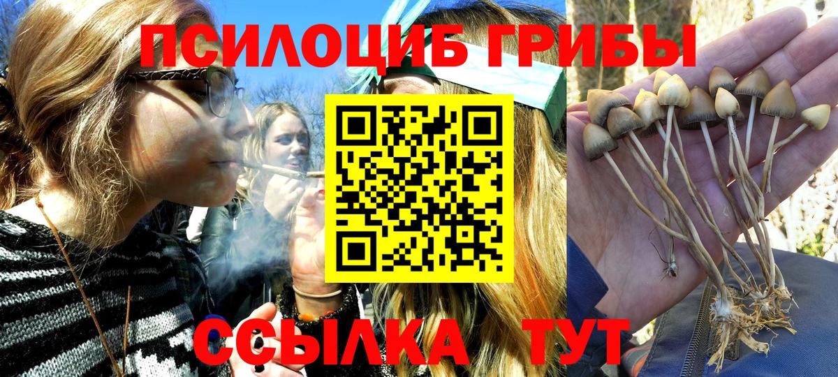 Галлюциногенные грибы GOLDEN TEACHER  Вход с VPN  Новоалександровск 